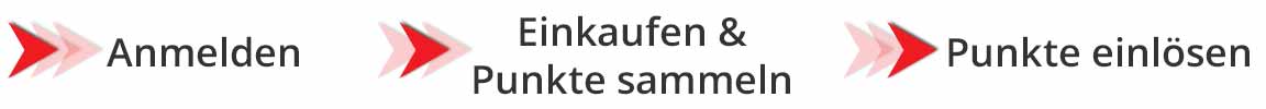 MegaPoints anmelden, einkaufen und sammeln, einlösen