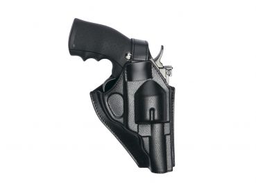 Holster für Dan Wesson 2,5" &  4"