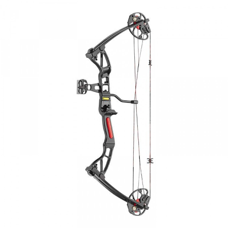 Compound Bogen REX 10 - 30 lbs