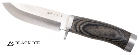 Black Ice Trail Blade