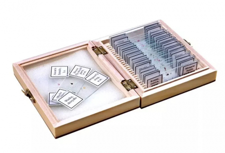 Opticon Zoologie
