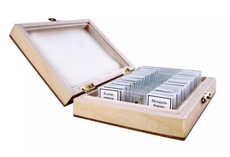 Opticon Zoologie