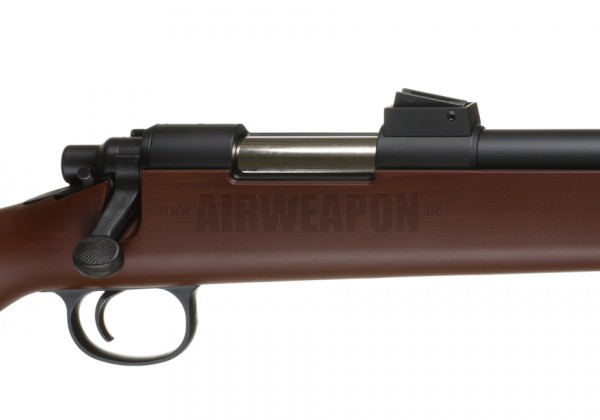 VSR-10 Recoil Shock