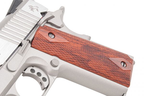 Colt 1911 Railgun Stainless