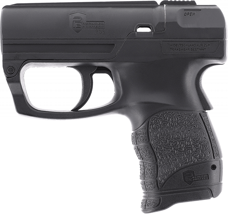 P2P PGS – Personal Guard System