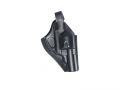 Holster für Dan Wesson 2,5" &  4"